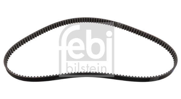 Timing Belt